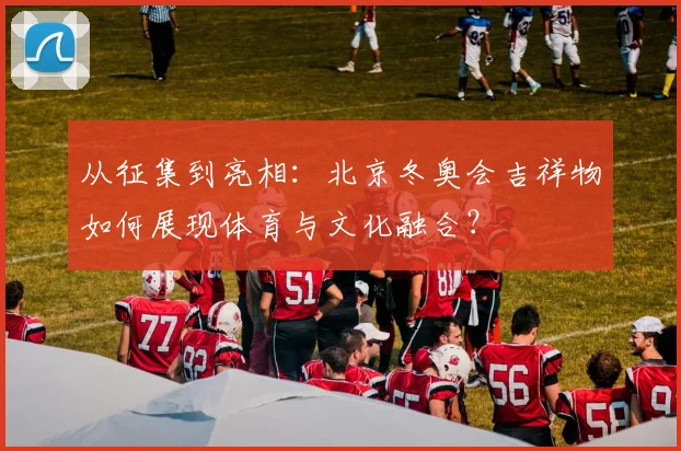 从征集到亮相：北京冬奥会吉祥物如何展现体育与文化融合？