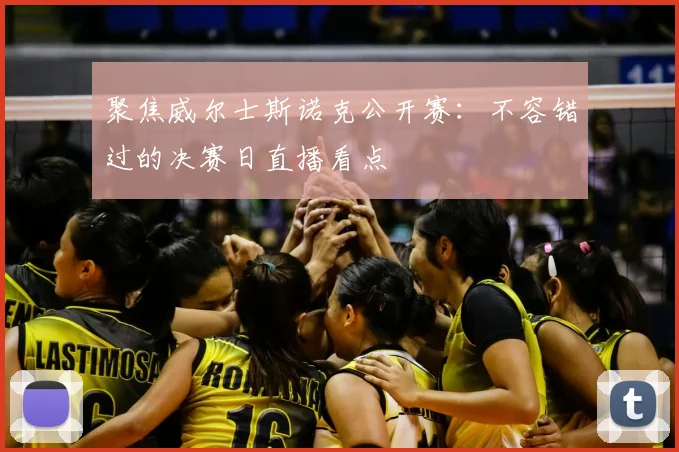 聚焦威尔士斯诺克公开赛：不容错过的决赛日直播看点