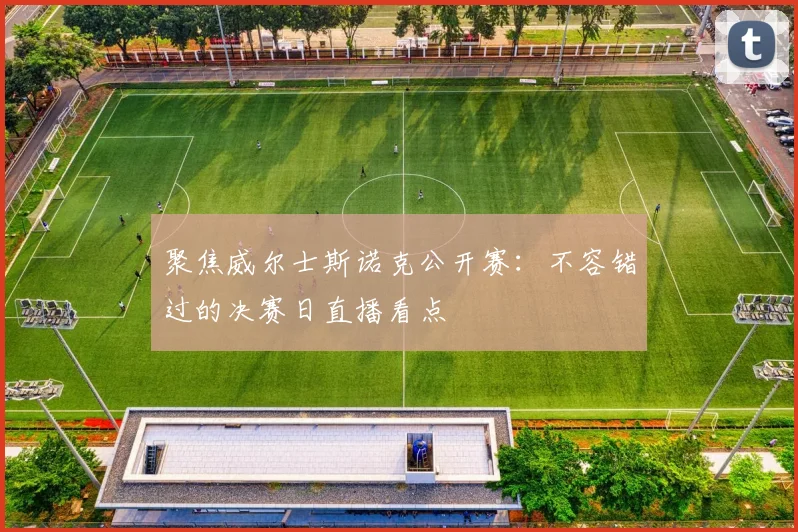 聚焦威尔士斯诺克公开赛：不容错过的决赛日直播看点