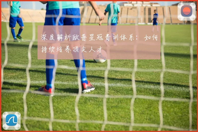 深度解析欧普星冠青训体系：如何持续培养顶尖人才