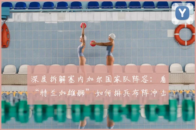 深度拆解塞内加尔国家队阵容：看“特兰加雄狮”如何排兵布阵冲击世界