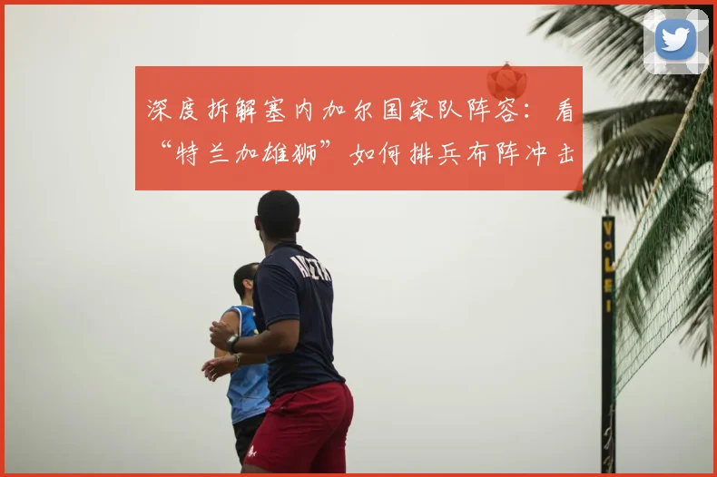 深度拆解塞内加尔国家队阵容：看“特兰加雄狮”如何排兵布阵冲击世界