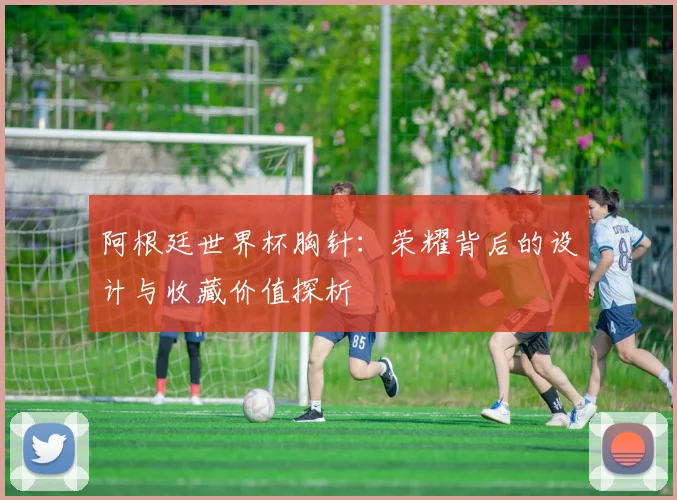 阿根廷世界杯胸针：荣耀背后的设计与收藏价值探析