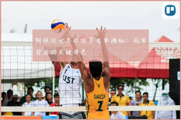 阿根廷世界杯球员名单揭秘：冠军背后的关键角色