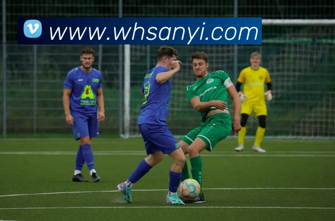 巅峰国际app官网下载发展历程